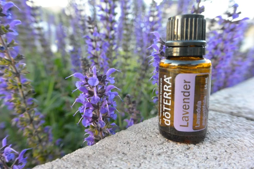 Receitas com Lavanda
