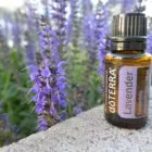 Receitas com Lavanda