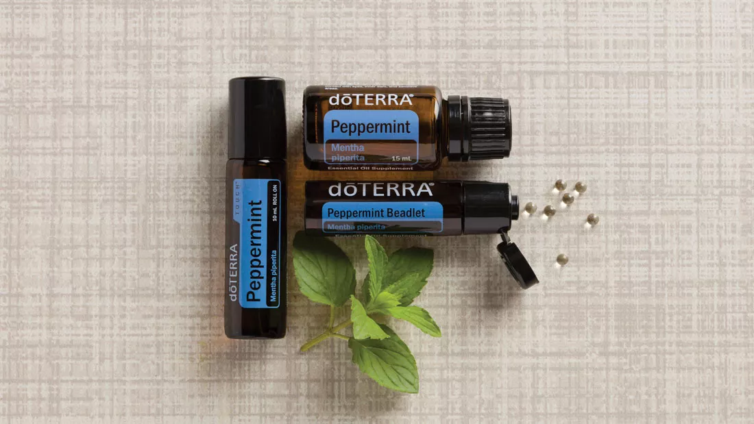hortelã pimenta e peppermint