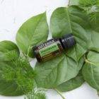 Melaleuca e Tea Tree