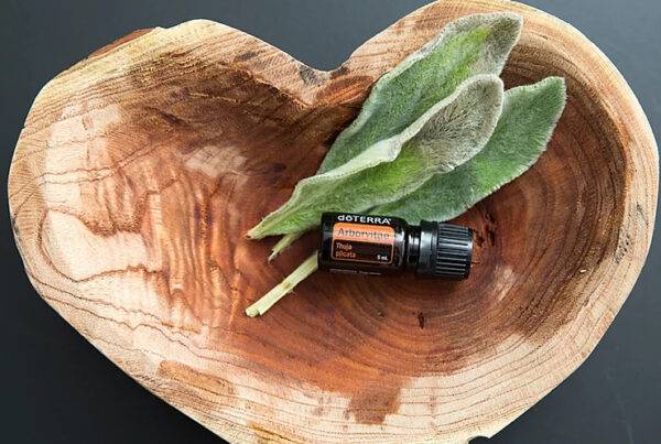 óleo essencial de arborvitae