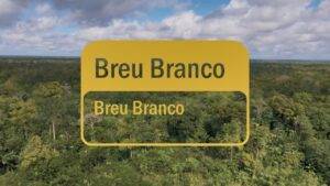 Óleo Essencial de Breu Branco